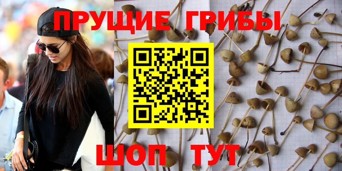Назарово  хочу   Псилоцибиновые грибы ЛСД  Вход с VPN  Галлюциногенные грибы Magic Shrooms 